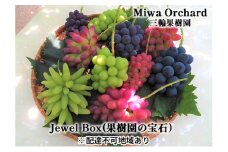 ぶどう 2025年 先行予約 ジュエルボックス 皮ごと食べることのできる 葡萄 4～5品種 詰合せ 約2kg ブドウ 葡萄 岡山県 赤磐市産 国産 フルーツ 果物 ギフト 三輪果樹園