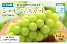 ぶどう 2025年 先行予約 定期便 岡山名産 シャインマスカット 3房 (約2.0kg) 3回連続お届け！ 葡萄 岡山県 赤磐市産 フルーツ 果物 あかいわファーマーズガーデン