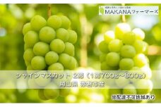 ぶどう 2025年 先行予約 シャイン マスカット 2房 （1房700g～800g） 大粒 種無し ブドウ 葡萄  岡山県 赤磐市産  国産 フルーツ 果物 ギフト MAKANAファーマーズ