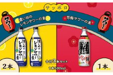 サッポロ 濃いめの レモンサワー の素 2本／ 男梅サワー の素 1本 合計3本 セット （1本500ml） お酒 サワー レモン 檸檬 梅味 男梅 原液 洋酒 リキュール類 