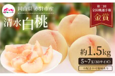 桃 2025年 先行予約 清水 白桃 をお届け！約1.5kg 5～7玉 糖度センサー選果 糖度12度以上 もも モモ 岡山県 赤磐市産 国産 フルーツ 果物 ギフト あみかフルーツ