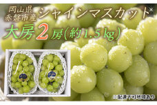 ぶどう 2025年 先行予約 シャイン マスカット 大房 2房 約1.5kg 秀品 ブドウ 葡萄  岡山 赤磐市産 国産 フルーツ 果物 ギフト