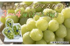 ぶどう 2025年 先行予約 シャイン マスカット 3～4房 約2.0～2.5kg 秀品 ブドウ 葡萄  岡山 赤磐市産 国産 フルーツ 果物 ギフト