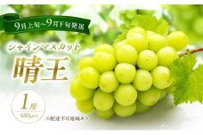 ぶどう 2025年 先行予約 シャイン マスカット 晴王 1房 650g以上 2025年9月上旬～9月下旬発送分 ブドウ 葡萄 岡山県 赤磐市産 国産 フルーツ 果物 ギフト 赤坂青空市