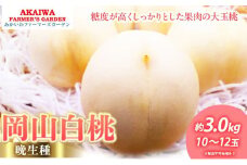 桃 2025年 先行予約 岡山の 白桃（晩生種）約3.0kg 10～12玉 もも 岡山県 赤磐市産 フルーツ 果物 あかいわファーマーズガーデン