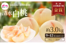桃 2025年 先行予約 清水 白桃 をお届け！約3.0kg 9～12玉 糖度センサー選果 糖度12度以上 もも モモ 岡山県 赤磐市産 国産 フルーツ あみかフルーツ