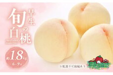桃 2025年 先行予約 早生の旬の 白桃 約1.8kg 6～9玉 進物用 もも モモ フルーツ 果物 岡山 赤磐市産 農マル園芸 あかいわ農園