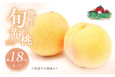 桃 2025年 先行予約 晩生の旬の 黄桃 約1.8kg 5～7玉 進物用 もも フルーツ 果物 岡山 赤磐市産 農マル園芸あかいわ農園 2025年 先行予約