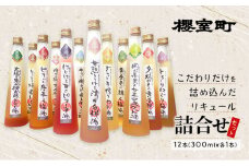 櫻室町 こだわりだけを詰め込んだリキュール 詰合せ セット 計12本（12種類300mlx各1本） お酒 アルコール 酒