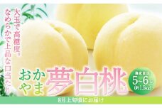 桃 2025年 先行予約  おかやま 夢 白桃 5～6玉入り(約1.5kg) 贈答用 もも モモ 岡山県 赤磐市産 国産 フルーツ 果物 ギフト