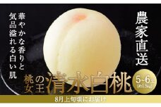 桃 2025年 先行予約 清水 白桃 5～6玉入り(約1.5kg) 贈答用 もも モモ 岡山県 赤磐市産 国産 フルーツ 果物 ギフト