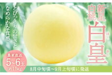 固めの 桃 2025年 先行予約 白桃 白皇 (はくおう) 5～6玉入り(約1.5kg) 贈答用 もも モモ 岡山県 赤磐市産 国産 フルーツ 果物 ギフト
