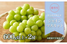 ぶどう 2025年 先行予約 贈答用 シャインマスカット 600g以上×2房 ブドウ 葡萄 岡山県 赤磐市産 フルーツ 果物 ギフト