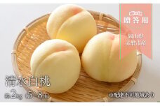 桃 2025年 先行予約 晴れの国 贈答用　清水白桃 約2kg（5～8玉）  もも モモ 岡山県 国産 フルーツ 果物 ギフト