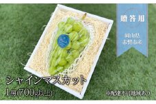 ぶどう 2025年 先行予約 贈答用 シャインマスカット 1房(700g以上) ブドウ 葡萄 岡山県 赤磐市産 フルーツ 果物 ギフト
