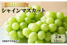ぶどう 2025年 先行予約 シャインマスカット 満足 2房入り 1.2kg以上  岡山県 赤磐市 ブドウ 葡萄 果物 フルーツ