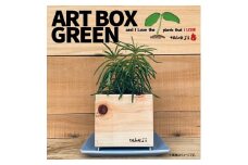 インテリア ART BOX GREEN / 003(木目） アートボックス 観葉植物 多肉植物 岡山 赤磐市 takejii craft
