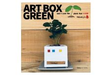 インテリア ART BOX GREEN / 002(□） アートボックス 観葉植物 多肉植物 岡山 赤磐市  takejii craft