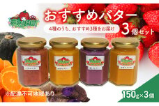 フルーツ・ベジタブル バター 3種の選定お任せ いちご みかん 紫いも かぼちゃ 農マル園芸 あかいわ農園 岡山