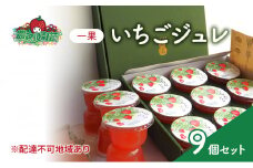 フルーツジュレ 一果 いちご 9個 セット フルーツ 紅ほっぺ 農マル園芸 あかいわ農園 岡山