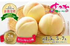 桃 2025年 先行予約 8月の旬な白桃【2種】 食べ比べ セット 約1.5kg 5～7玉 糖度センサー選果 糖度12度以上 あみかフルーツ 白桃 岡山