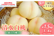 桃 2025年 先行予約 清水 白桃 約1.5kg 5～6玉 もも 岡山県 赤磐市産 フルーツ 果物 あかいわファーマーズガーデン