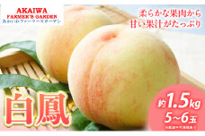 桃 2025年 先行予約 白桃 白鳳 約1.5kg 5～6玉 もも 岡山県 赤磐市産 フルーツ 果物 あかいわファーマーズガーデン