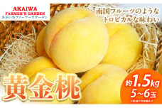 桃 2025年 先行予約 黄金桃 約1.5kg 5～6玉もも 岡山県 赤磐市産 フルーツ 果物 あかいわファーマーズガーデン