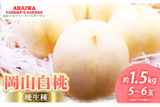 桃 2025年 先行予約 岡山の白桃（晩生種）約1.5kg 5～6玉 もも 岡山県 赤磐市産 フルーツ 果物 あかいわファーマーズガーデン