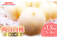 桃 2025年 先行予約 岡山の白桃（晩生種）約1.5kg 5～6玉 もも 岡山県 赤磐市産 フルーツ 果物 あかいわファーマーズガーデン