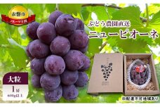 ぶどう 2025年 先行予約 ぶどう農園直送 朝採れ ニューピオーネ 大粒 1房(600g以上) ブドウ 葡萄 岡山県 赤磐市産 フルーツ 果物 ギフト