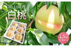 もも 2025年 先行予約 岡山県産 白桃 1.5kg (5玉～6玉入り) 桃 モモ フルーツ 果物 岡山 赤磐市