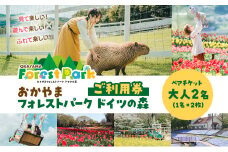 おかやまフォレストパーク ドイツの森 ペア 大人2名（1名×2枚） ご利用券 岡山県 赤磐市 チケット 体験