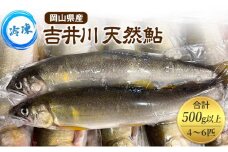 天然鮎 4～6匹 合計500g以上 【9月 発送予定】 冷凍 個包装 鮎 アユ あゆ 魚 川魚 岡山県産 吉井川