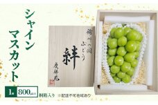 ぶどう シャインマスカット 1房 800g以上 桐箱入り 備州の国 絆 慶祥苑 贈り物 贈答 のし対応 岡山県 赤磐市 ブドウ 葡萄 果物 フルーツ 