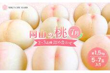 桃 【訳あり 2級品】 2026年 先行予約 岡山の桃 7月の桃 2～3品種 詰め合わせ セット 5～7玉入り 約1.5kg  MIKI’S ORCHARD  もも モモ 果物 岡山 家庭用