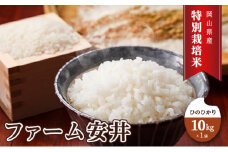 お米 【2025年11月～発送予定】 特別栽培米 ひのひかり 10kg×1袋 米 白米 岡山県産 ファーム安井 精米 ライス ご飯 おにぎり お弁当 和食 主食 国産 炭水化物 直送 産地直送 粘り 香り バランス