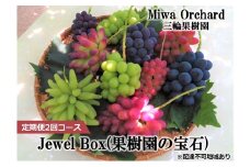 ぶどう 2025年 先行予約 ジュエルボックス 皮ごと食べることのできる 葡萄 4～5品種 詰合せ 約2kg 定期便 2回 コース ブドウ 葡萄 岡山県 赤磐市産 国産 フルーツ 果物 ギフト 三輪果樹園 岡山のぶどう 食べ比べ