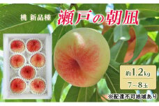 桃 2025年 先行予約 瀬戸の朝凪 KU-PP1 約1.2kg 7～8玉 新品種 モモ もも フルーツ 果物 岡山 赤磐市産