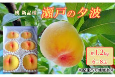 桃 2025年 先行予約 瀬戸の夕波 KU-PP2 約1.2kg 6～8玉 新品種 モモ もも フルーツ 果物 岡山 赤磐市産