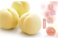 桃 2025年 数量限定 白桃 清水白桃  約1.8kg 6～8玉 ご家庭用 フルーツ 果物 岡山 赤磐市産