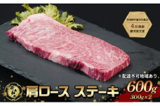 ステーキ 奈義和牛 肩 ロースステーキ 600g (300g×2) なぎビーフ 肉 お肉 牛肉 牛 和牛 岡山 国産