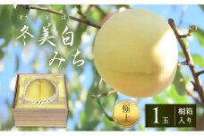 桃 2025年 先行予約 白桃 冬美白 とうびはく 極上1玉 「みち」  桐箱入り もも モモ 令和7年 岡山 赤磐市産 国産 フルーツ 果物 ギフト 果肉 しっかり 柔らかい 食感 大変貴重 高糖度 栽培方法
