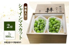 ぶどう 2025年 先行予約 シャインマスカット(特秀) 2房 1房800g以上 桐箱入り 備州の国 絆 慶祥苑 贈り物 贈答 のし対応 岡山県 赤磐市