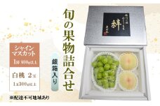 ぶどう もも 2025年 先行予約 シャインマスカット(特秀) 1房 800g以上 白桃 2玉 1玉300g以上 銀箱入り 備州の国 絆 慶祥苑 贈り物 贈答 のし対応 岡山県 赤磐市