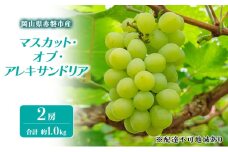 ぶどう 2025年 先行予約 マスカット・オブ・アレキサンドリア 2房 合計 約1kg ブドウ 葡萄 岡山県 赤磐市産 フルーツ 果物 ギフト 果物類