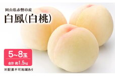 桃 2025年 先行予約 白桃 白鳳 約1.5kg 5～8玉 フルーツ 果物 岡山 赤磐市産