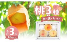 桃 2025年 数量限定 桃3種食べ比べセット 3種×各1玉 計1.0kg以上 岡山県 赤磐市産
