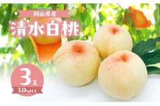 桃 2025年 数量限定 清水白桃 3玉 計1.0kg以上 岡山県 赤磐市産 