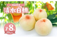 桃 2025年 数量限定 清水白桃 7～8玉 計2.0kg以上 岡山県 赤磐市産